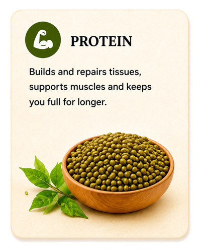 Protein
